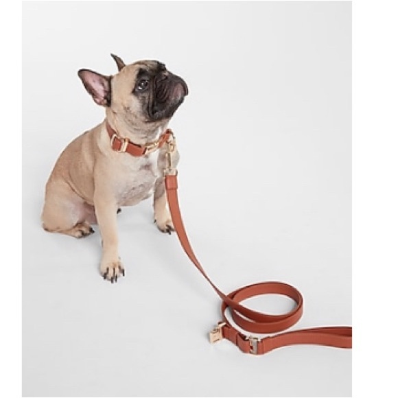 Other - Faux Leather Dog Leash & Bag Set